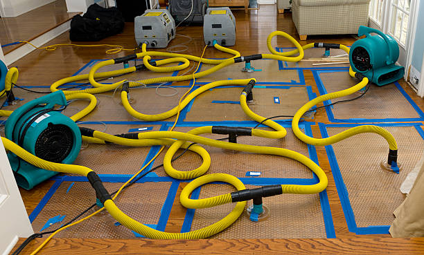 Professional Crawl Space Water Removal technician working in Carrolls, WA